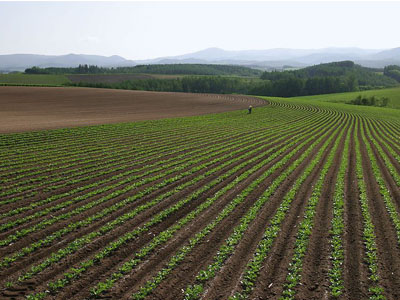 农资企业的新营销策略1.jpg 农资企业的新营销策略1.jpg