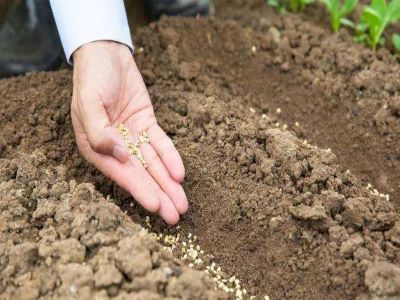 肥料代理商如何提升销�?.jpeg 肥料代理商如何提升销�?.jpeg