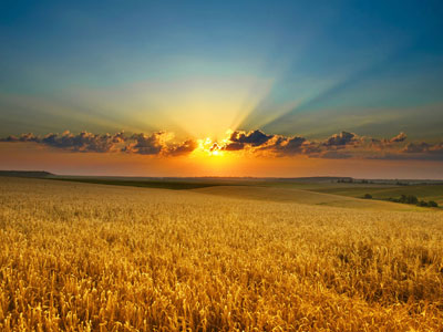 什么样的农资企业才值得代理商选择�?.jpg 什么样的农资企业才值得代理商选择�?.jpg