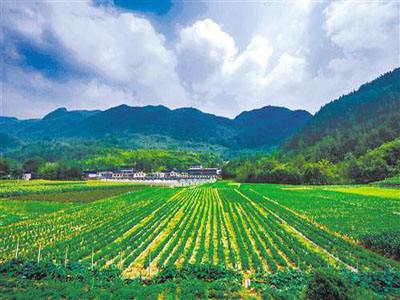 怎样才能够使农资企业走出困境1.jpeg 怎样才能够使农资企业走出困境1.jpeg