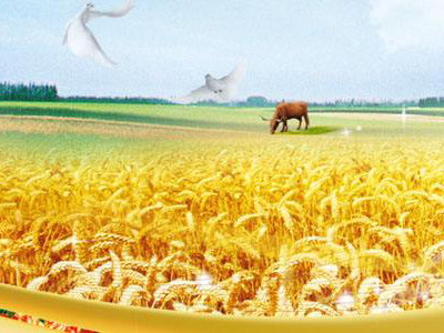 农资代理商发展会遇到哪些困境1.jpg 农资代理商发展会遇到哪些困境1.jpg