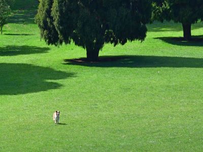 农资代理商应如何逆流而上1.jpeg 农资代理商应如何逆流而上1.jpeg