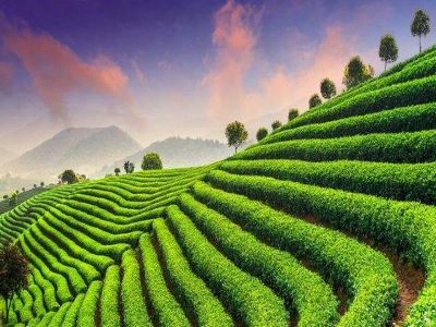 农资新产品成败的关键1.jpeg 农资新产品成败的关键1.jpeg