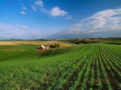 农资代理商未来会不会消失1.jpeg 农资代理商未来会不会消失1.jpeg