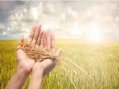 如何成为一名优秀的农资代理商8.jpeg 如何成为一名优秀的农资代理商8.jpeg