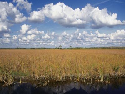 农资厂家怎样吸引代理商的眼光3.jpeg 农资厂家怎样吸引代理商的眼光3.jpeg