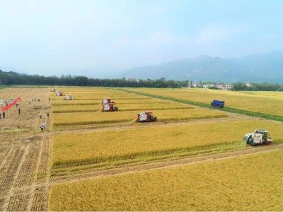 有关农资互联网的营销方案0.jpeg 有关农资互联网的营销方案0.jpeg