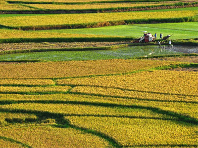 当下肥料加盟商的特点1.jpg 当下肥料加盟商的特点1.jpg