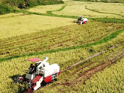 农资企业该如何笼络代理商1.jpg 农资企业该如何笼络代理商1.jpg