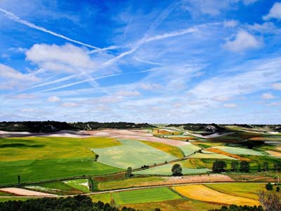 农资生意不好做时,农资代理商又该何去何从ï¼?.jpg 农资生意不好做时,农资代理商又该何去何从ï¼?.jpg