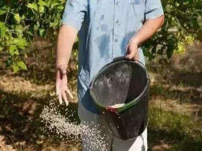 肥料代理商提升销量小技�?.jpeg 肥料代理商提升销量小技�?.jpeg