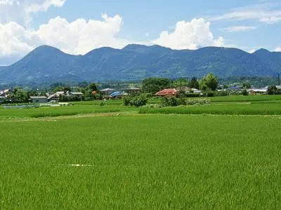 ��ũ�ʴ���׬Ǯ��1.jpg