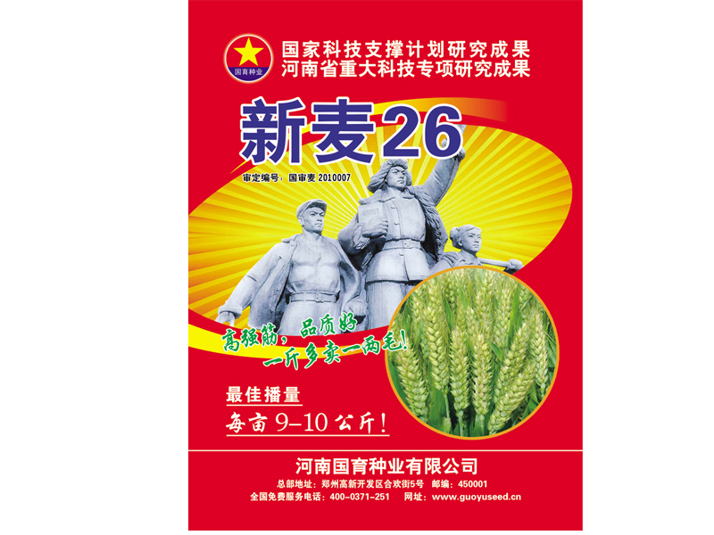 最新国审  优质强筋,高产半冬性小麦品种--新麦26简介