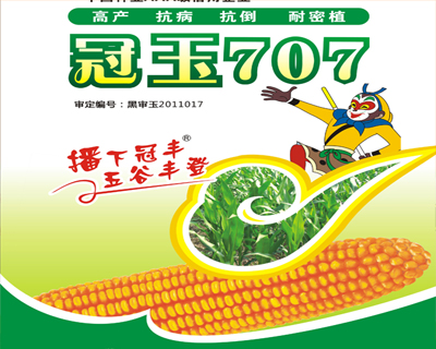 冠玉707