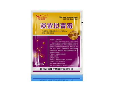线虫克星—淡紫拟青霉菌