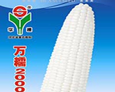 河北省万全县华穗特用玉米种业有限责任公司