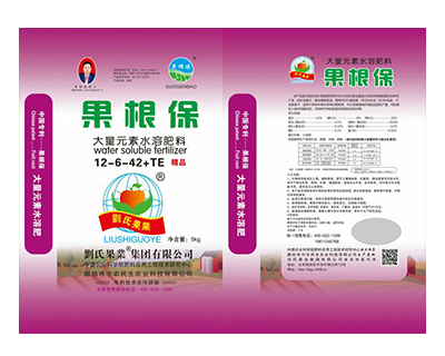 果根保（12-6-42+TE）设计图