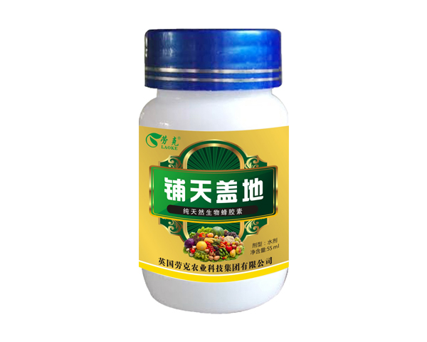 铺天盖地