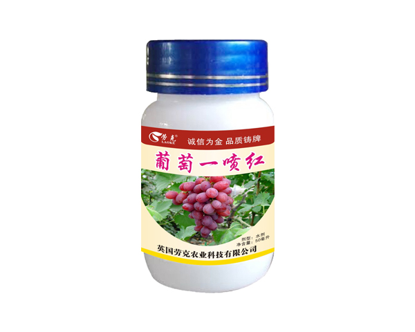 葡萄—喷红-劳克