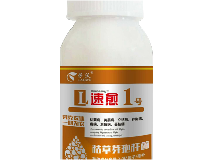 速愈1号