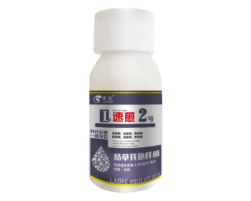 速愈2号
