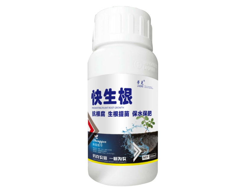 快生根